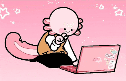 Chiffon by Sir Fluff typing on a computer